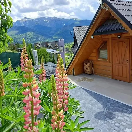 Mocarny Косцелиско