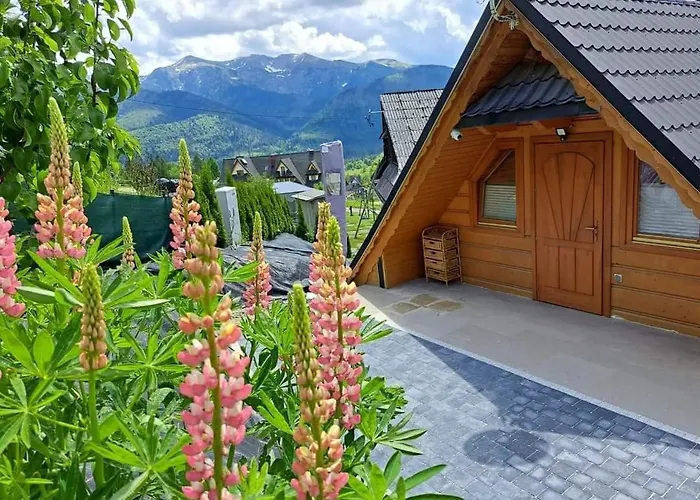 Mocarny كوشتيليسكا